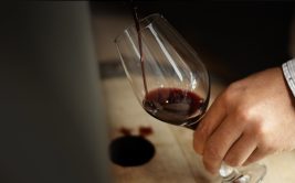Wine creation workshop