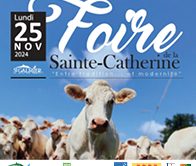 Foire de la Sainte Catherine