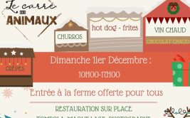 Marché de Noël