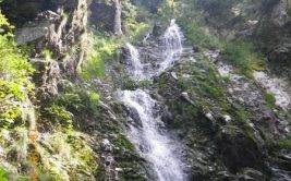 DÉCOUVRIR