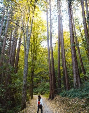 HIKES